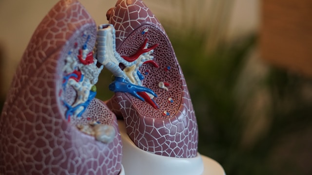 saturationsmåler